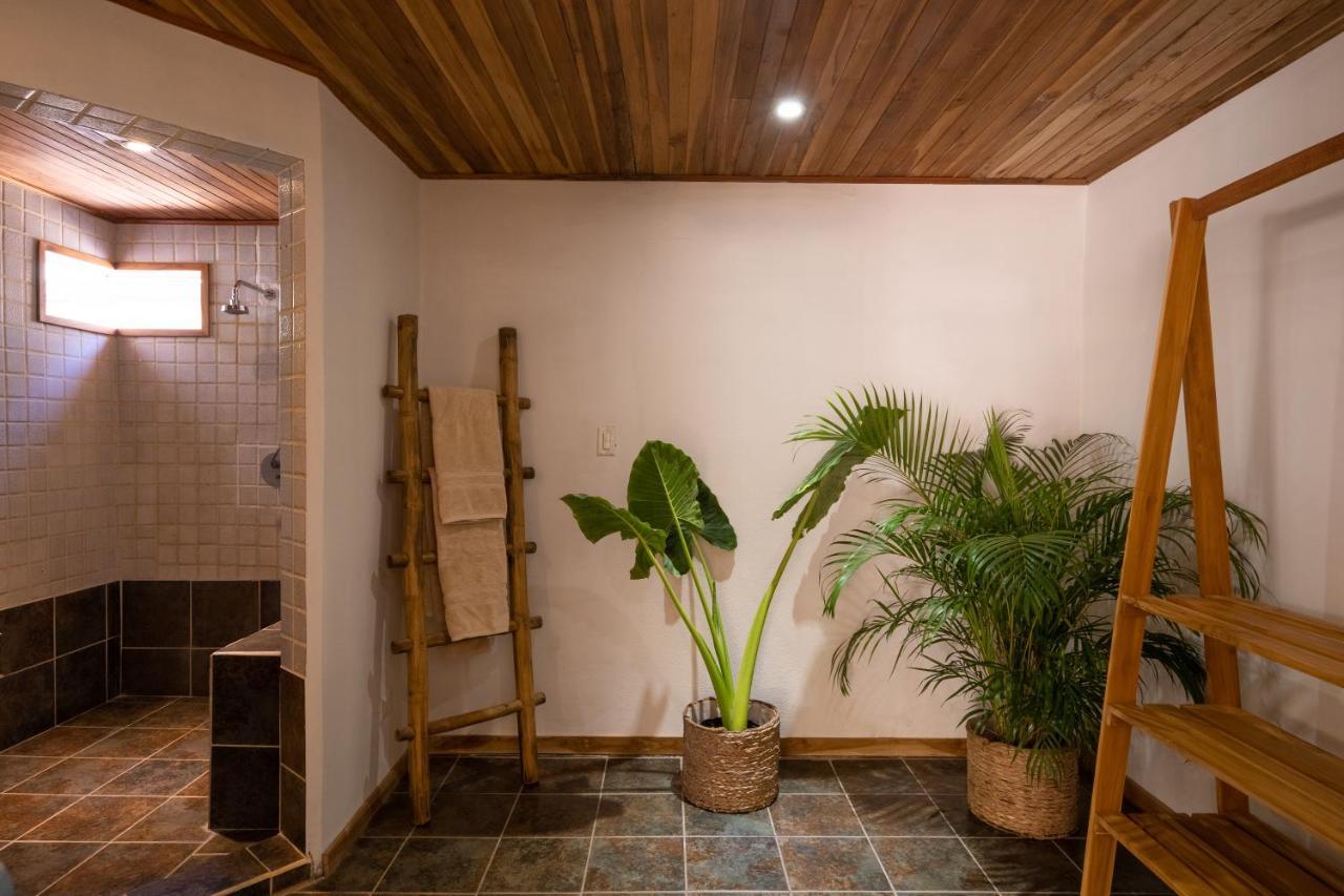 Dream Surf House Avellana Hotel ปลายา อาเบญานา ภายนอก รูปภาพ